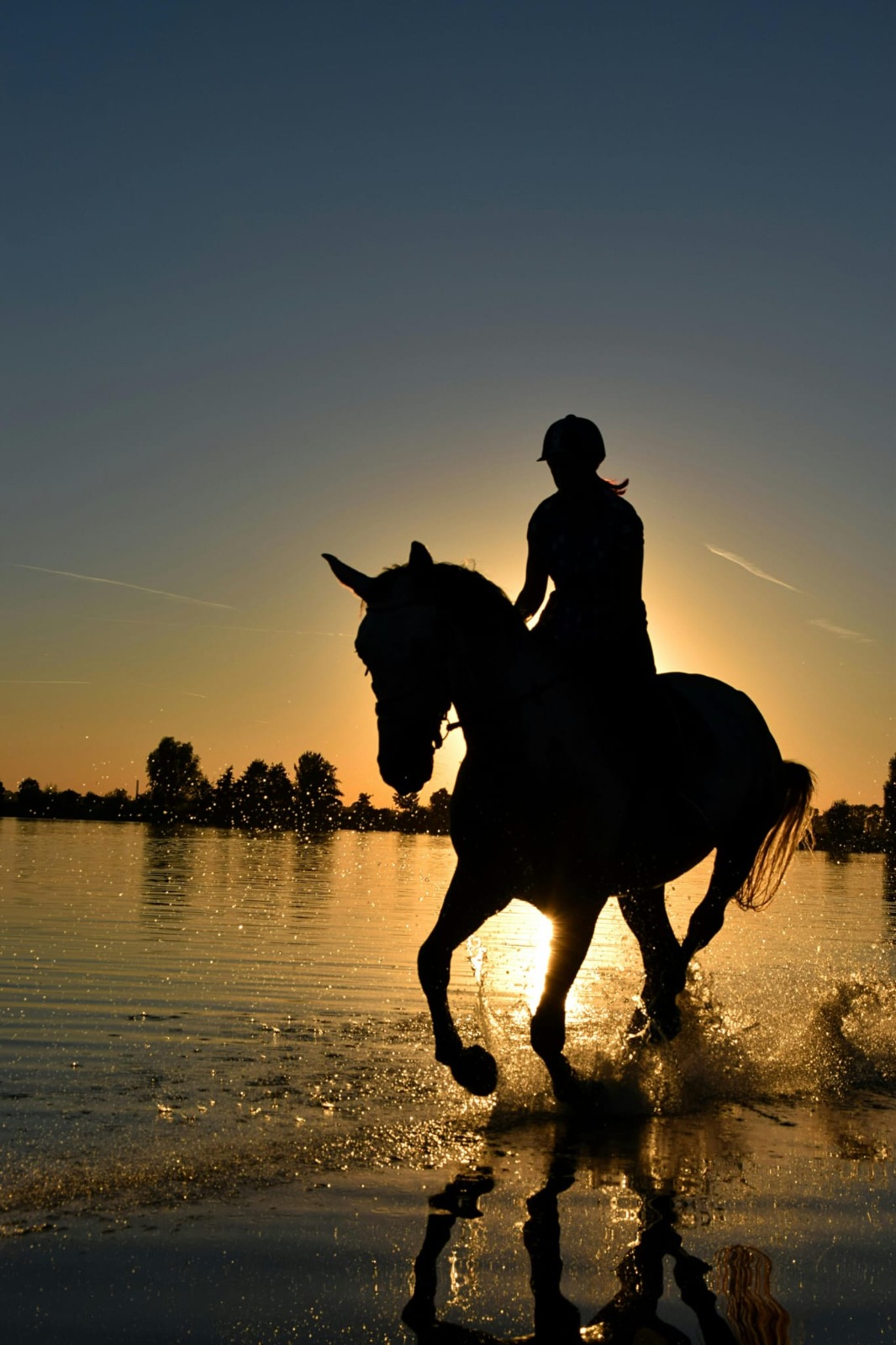Cavalo ao pôr do sol